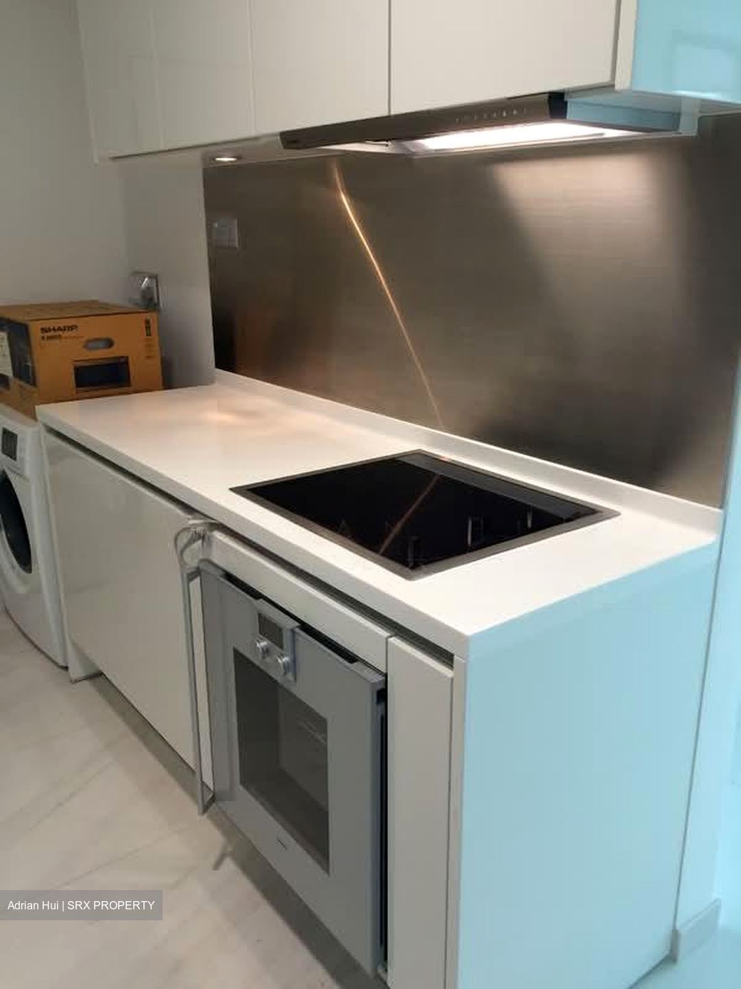 Nathan Suites (D10), Condominium #561019351